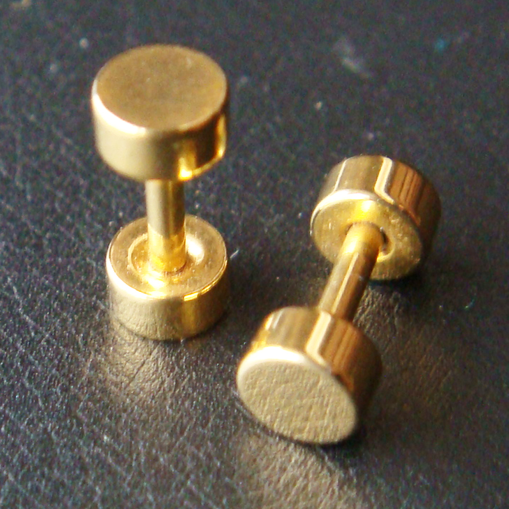 6g 4mm One Pair Fake Plugs Ear Plug Rings Earrings Body Piercing Jewelry